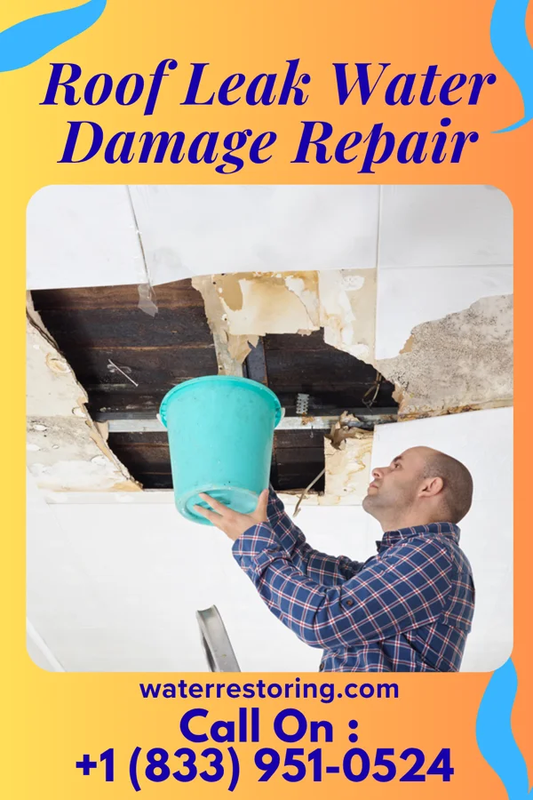 Roof Leak Water Damage Repair in Anoka, MN